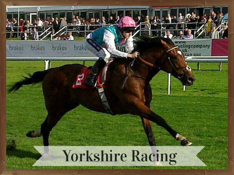 Award winning modern grandstands, characterful Listed buildings, manicured lawns and home grown flowers set the scene for the best of racedays. See the leading horses and jockeys perform.